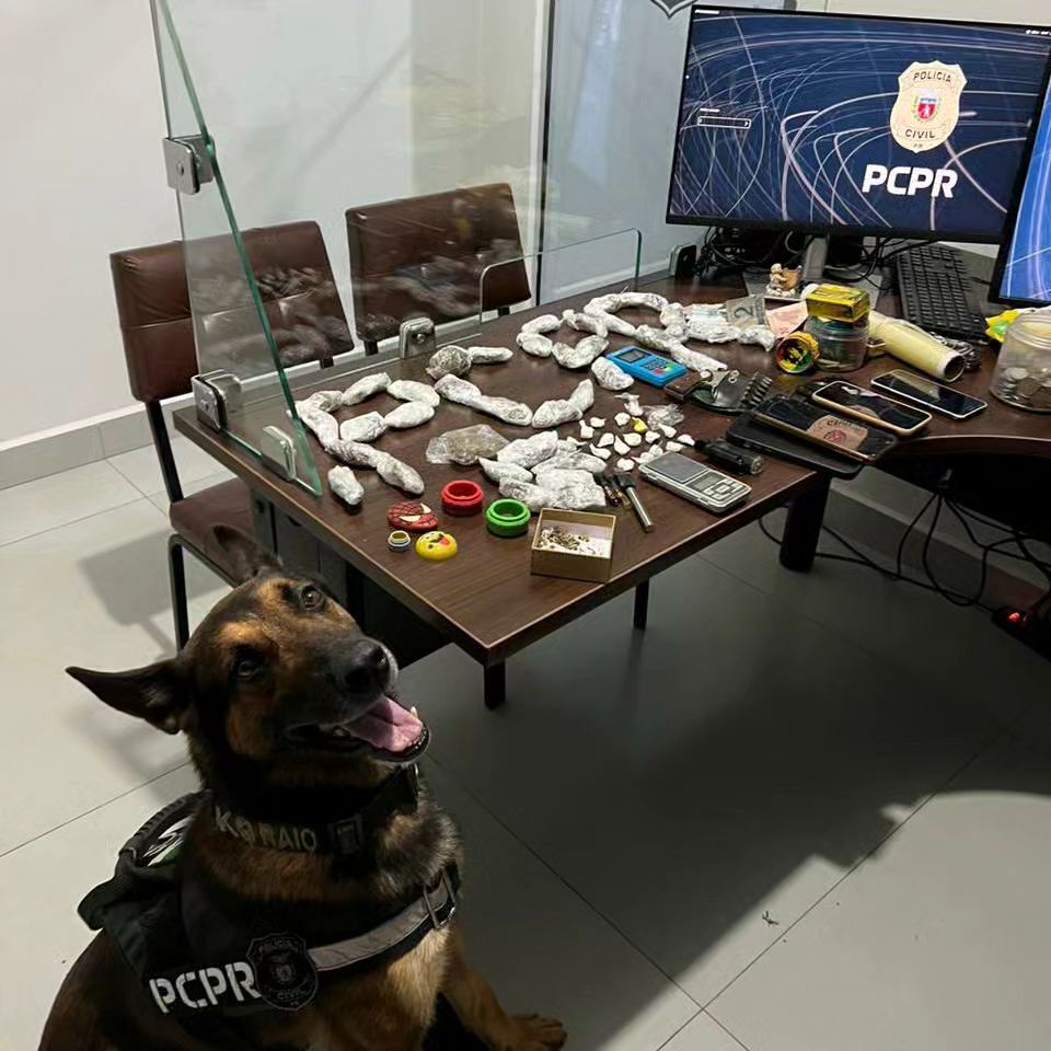 Operação Crepúsculo em Araruna resulta na prisão de quatro pessoas